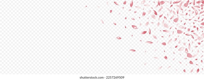 Bright Leaf Vector Panoramic Transparent Background. Apple Romance Texture. Sakura Japan Illustration. Rosa 3d Backdrop. Light Floral Invitation Pattern.