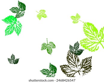 Bright Leaf Vector White Background. Colorful Foliage Fall Card. Refreshing green leaves scattered in the wind