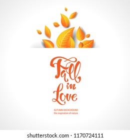 Bright leaves fall card