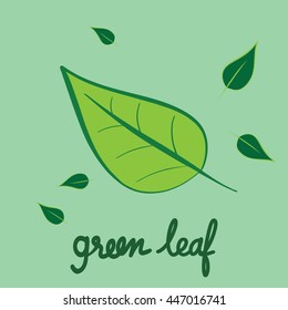 Bright light green leaf the sign symbol of spring and rainy season vector design hand write doodle.