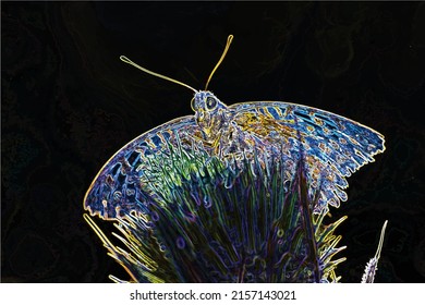 Bright like butterfly macro and neon lights in flower
(shining edge effect applied)