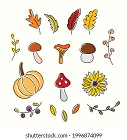 Bright line art set of autumn vegetables and leaves. Thanksgiving collection