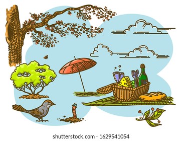 Bright linear set of isolated elements for the theme of the garden. Picnic basket under the tree, with an umbrella and a bird. Vector  