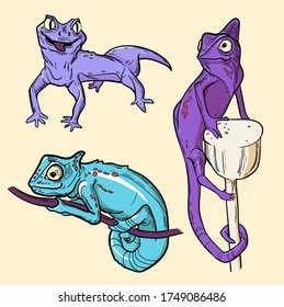 Bright lizards, set of illustrations for animal lovers in a realistic style.