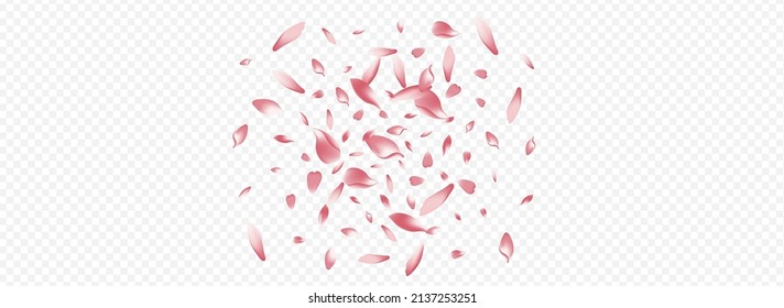 Bright Lotus Vector Panoramic Transparent Background. Tree Invitation Congratulation. Cherry Flying Design. Heart Soft Template. Pink Rose Down Illustration.