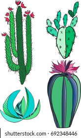 Bright lovely mexican tropical floral herbal summer green set of a cactus paint like child vector illustration