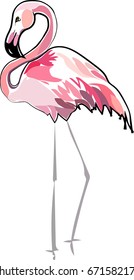Bright lovely tender gentle sophisticated wonderful tropical hawaii animal wild summer beach pink flamingo vector isolated