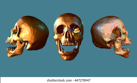 Bright low poly skull in various view on turquoise background
