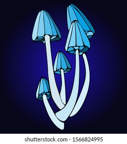 Bright luminosity group of mushrooms on high legs. Cartoon illustration on dark blue isolated background.