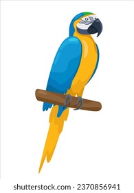 Bright macaw. Cartoon funny ara parrot sitting on a branch. Flat colorful exotic bird. Vector illustration on white background. Good for T-shirts, posters, book covers, banners