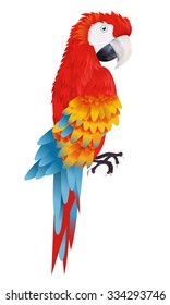 A bright macaw parrot isolated on white background vector illustration