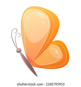 Bright magic colorful butterfly. Vector isolated illustration.