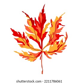 Bright maple autumn leaf isolated on white background. Vector fall color flat illustration