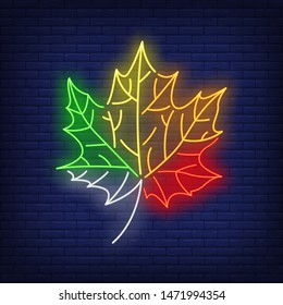 Bright maple leaf neon sign. Canada, autumn, advertisement design. Night bright neon sign, colorful billboard, light banner. Vector illustration in neon style.