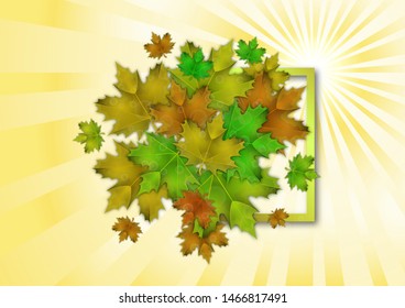 Bright maple leaves. The concept of a beautiful autumn. Vector illustration for your design.