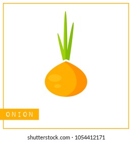 Bright memory training card with colorful vegetable. Flat design isolated orange color onion or bulb with shine and shade. Vector illustration for vegan infographic, kid game or school vitamin poster