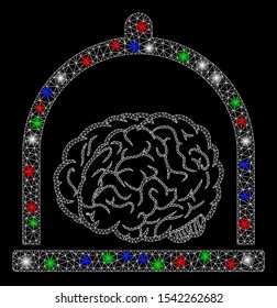 Bright mesh brain conservation with glare effect. White wire carcass triangular mesh in vector format on a black background. Abstract 2d mesh built from triangular lines, small circle,