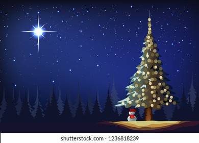 The bright and morning star in night winter Christmas and pine tree graphic vector.