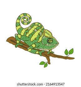 Bright multicolored chameleon on tree branch closeup isolated on white background vector illustration