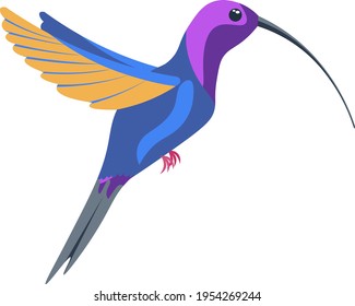 A bright multicolored hummingbird, a bird painted in several colors blue orange purple. Vector illustration isolated on white background.