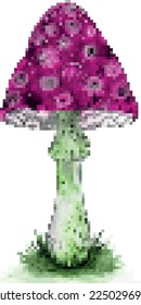 Bright mushroom fly agaric in pixel art style.