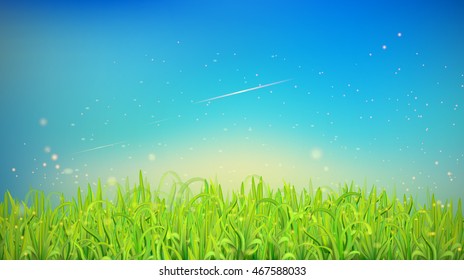 Bright natural landscape with grass and blue sky. Vector illustration for your graphic design.