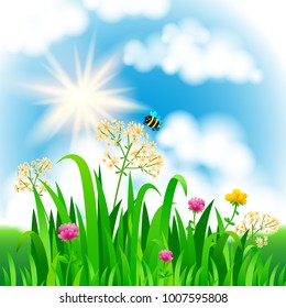 Bright nature landscape with sky, clouds, grass, flowers and bee. Rural landscape. Field and meadow. Vector illustration.