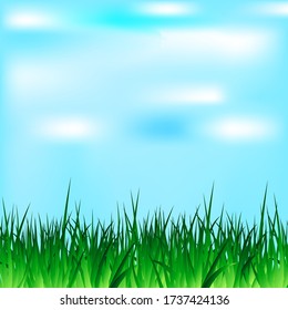 Bright nature landscape with sky and grass. Rural landscapes. Field and meadow. Vector illustration.