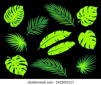 bright neon green tropical palm leaves set on black background