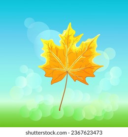 A bright orange autumn maple leaf against a blue-green square background with scattering glare from the sun. Autumn, the end of summer. Nature, trees and parks. Vector illustration.