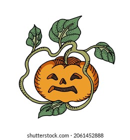 Calabaza vectorial de otoño de color naranja brillante. Una ilustración con un claro contorno y colores brillantes de la paleta de otoño para diversas ideas para las vacaciones de otoño y no sólo
