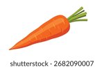 Bright orange carrot with green leafy tops isolated on a white background showcasing its vibrant color and fresh appearance.