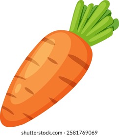 Bright orange carrot with green leaves