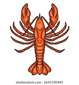 Bright orange cartoon lobster vector illustration. hand drawn cooked lobster seafood graphic. Suitable for children's book, sticker, mascot, logo