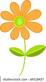 bright orange daisy