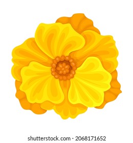 Bright Orange Flower with Showy Petals and Stamen Closeup Vector Illustration