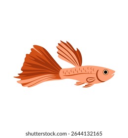A bright orange guppy illustration with bold fins and a sunset tone. Perfect for aquatic-themed visuals, children’s art, and decorative tropical graphics.