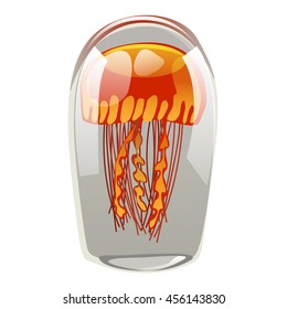Bright orange jellyfish in a glass dome isolated on white background. Vector cartoon close-up illustration.