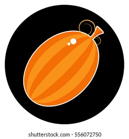 Bright orange melon isolated on a black background.