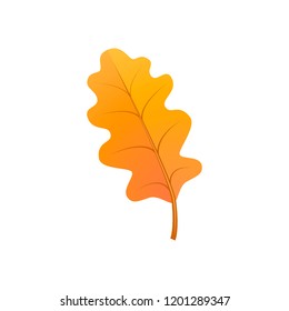 Bright orange oak leaf on white