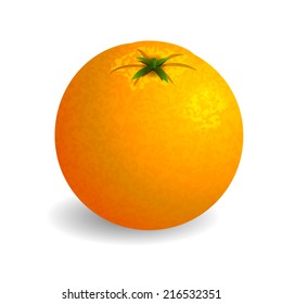 Bright orange on white background. Vector illustration