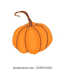 Bright orange pumpkin with a curved stem in a simple design on a plain background