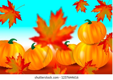 Bright orange pumpkins and falling red maple leaves on a blue autumn background. Seasonal banner with copy space for your text. Vector illustration