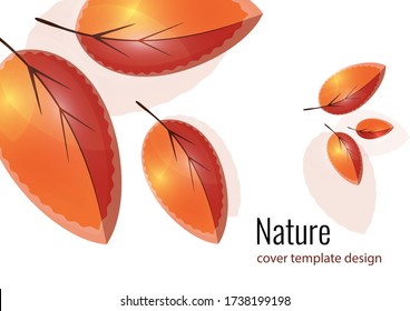 Bright orange and red leaves. Creative autumn background for your design. Vector illustration