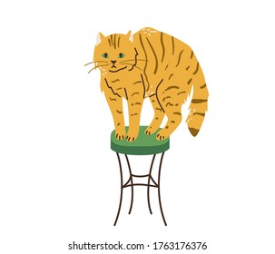 Bright orange tabby cat with green eyes standing on chair. Cats like to climb higher. Vector illustration in simple cartoon flat style. Isolated on white background.