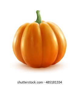 Bright orange vector realistic pumpkin isolated on white background