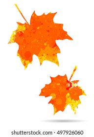 Bright orange watercolor autumn maple leaves isolated over white background.