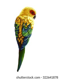 Bright painted parrot isolated illustration
