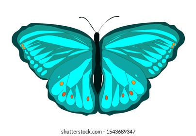 Bright painted simple green butterfly with open wings