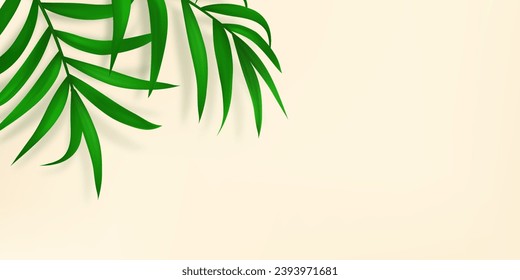 Bright palm leaves overlay. Foliage with sunlight. Presentation with mock up, copy space, template. Realistic plant. Tropical tree leaf. Beige background. Vector illustration